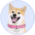 DOGEGF