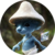 SMURFCAT